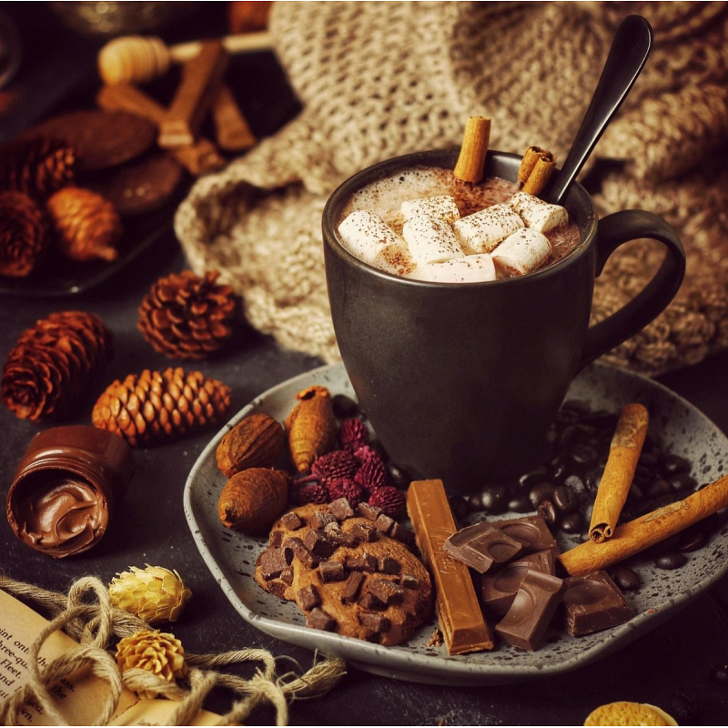 Chocoloco jetzt in Bio-Qualität bei Spicebar kaufen